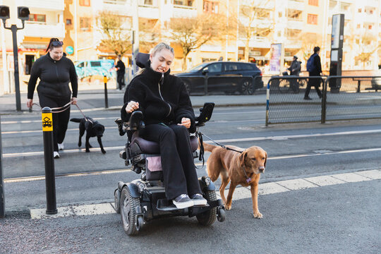 A Woman in a Wheelchair and Her Companion with Their Guide Dogs