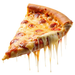 Melting Cheese Pizza Slice