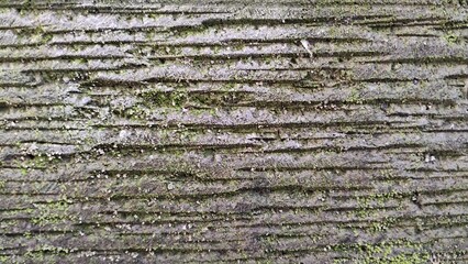 concrete wall texture, 3D concrete line pattern texture, for 3d rendering element, seamless texture object