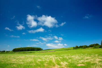 green field and blue sky