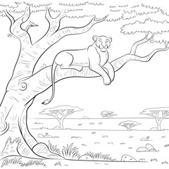 Lioness on the tree coloring page 