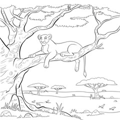 Line art lioness one the coloring page 