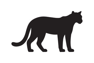 Obraz premium Wildcat silhouette on white background