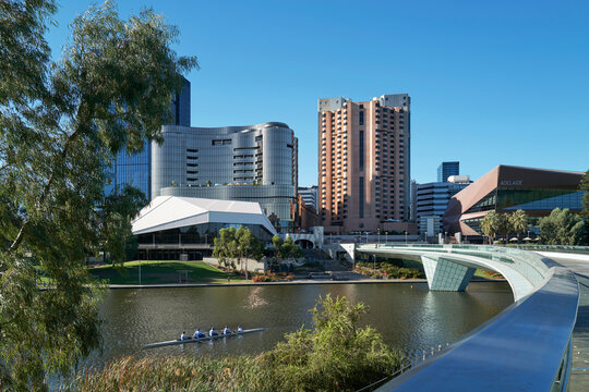 Rowers glide along the river in downtown Adelaide on a clear day
