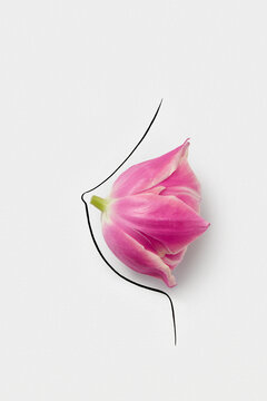 Pink flower bud with petals arranged on hand drawn female breast