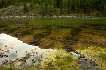 Reflection of a high mountain with dense taiga in the calm transparent water of a picturesque lake on a cloudy summer day.