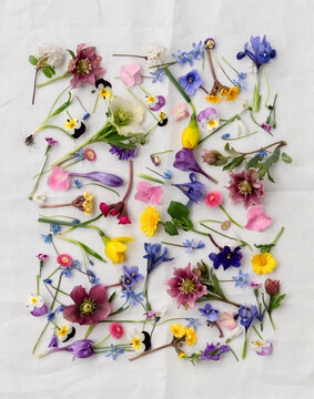 First spring flowers on linen material