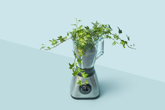 Plastic blender jar filled with soil and overgrown leafy green plants