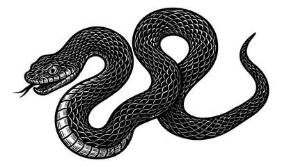 Obraz premium Detailed Black and White Engraving of a Coiled Snake with Tongue Out