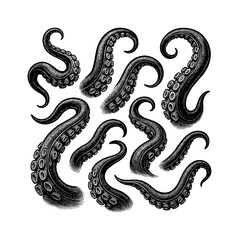 Fototapeta premium Detailed Engraving of Multiple Octopus Tentacles in a Swirling Arrangement on a White Background