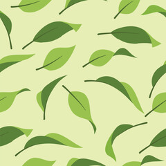 seamless pattern various leaf shapes on a light green background, , suitable for print and wallpaper