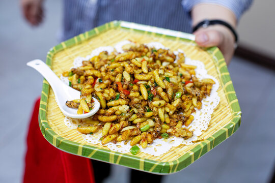 Stir-fried silkworm pupae