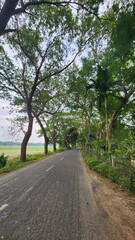 Obraz premium road in the countryside