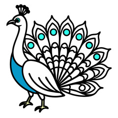 Illustration of a peacock with white feathers and a blue patch on its chest and tail feathers