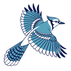 Illustration of a cyan and white bird in flight with detailed wing and tail feathers design shown clearly