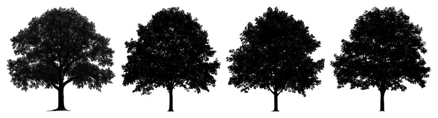 Obraz premium PNG Tree outline silhouette white illustration, transparent background