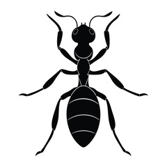 Engraving-style ant silhouette featuring fine lines and detailed contours, showcasing the insect's segmented body, legs, and antennae in a vintage, artistic design.
