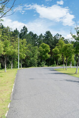 New pathway and beautiful trees track for running or walking and cycling relax in the park
