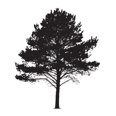 Fototapeta premium Dramatic Pine Tree Vector