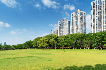 city park with modern building background in shanghai