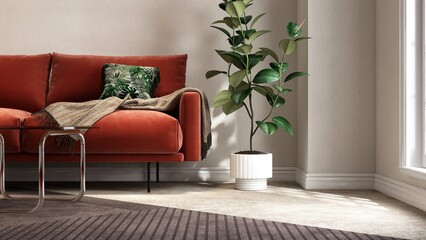 Orange velvet mid century retro sofa, coffee table, Indian rubber tree on gray carpet floor in...