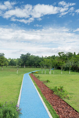 New pathway and beautiful trees track for running or walking and cycling relax in the park