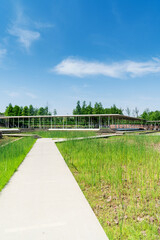 spring park and modern city