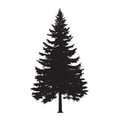Fototapeta premium Natural Pine Silhouette Isolated Art