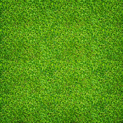 Fototapeta premium Green grass texture for background. Green lawn pattern and texture background. Close-up.