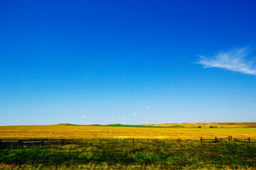 Obraz premium The Great Plains of South Dakota in Summer