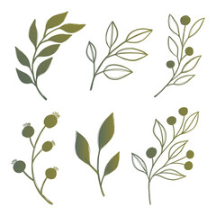 Leaf and flowers Doodle Color pack