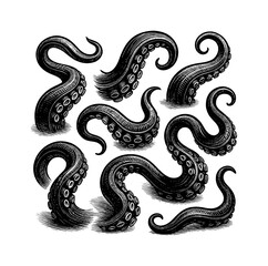Fototapeta premium Engraved Octopus Tentacles Set Isolated on White Background, Detailed Vector Illustration