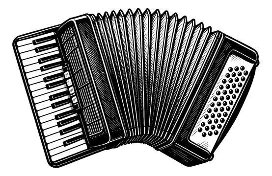 Detailed Line Art Drawing of Accordion Instrument in Black and White Isolated
