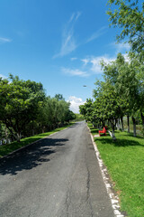 Obraz premium New pathway and beautiful trees track for running or walking and cycling relax in the park