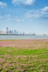 flower field in park at city center and modern city