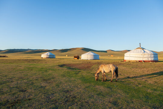 A horse with yurts in the background. Terrelj Region of Mongolia.