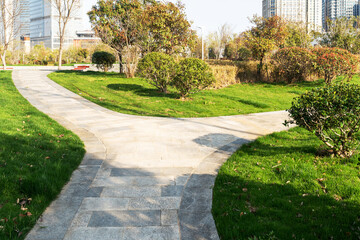 city park with modern building background in shanghai