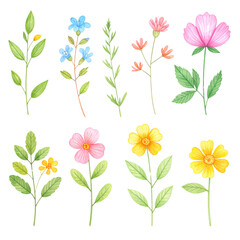 Set of colorful flower illustrations, suitable for floral design on white background.