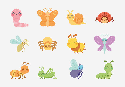 Colorful Cute Insect Animal Spring Illustrations Set