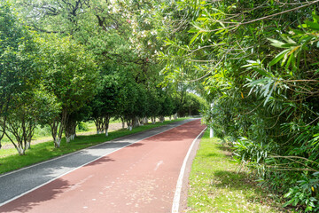 New pathway and beautiful trees track for running or walking and cycling relax in the park
