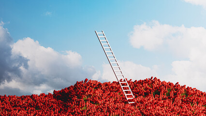 Climbing a ladder to the clouds above a field of vibrant red flowers