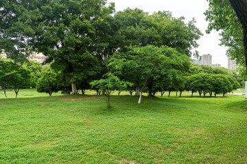 Beautiful panorama of green city park