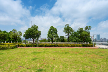 city park with modern building background in shanghai