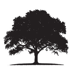 Timeless Oak Tree Vector Art