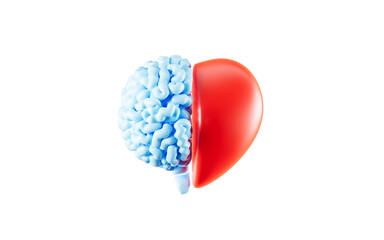 Human heart and brain connection, control feeling and emotion with logical thinking brain, 3d rendering.