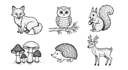 Obraz premium Illustration of a fox, owl, squirrel, mushrooms, hedgehog, and deer in black and white line art style