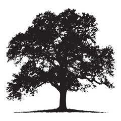 Fototapeta premium Calm Landscape Oak Tree Illustration