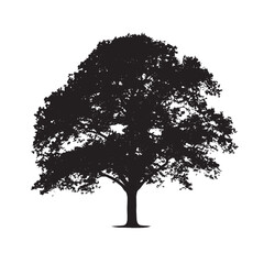 Fototapeta premium Giant Oak Tree Silhouette Art