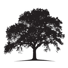 Fototapeta premium Isolated Shaded Oak Tree Clipart