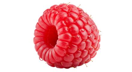 single raspberry isolated on white without background png